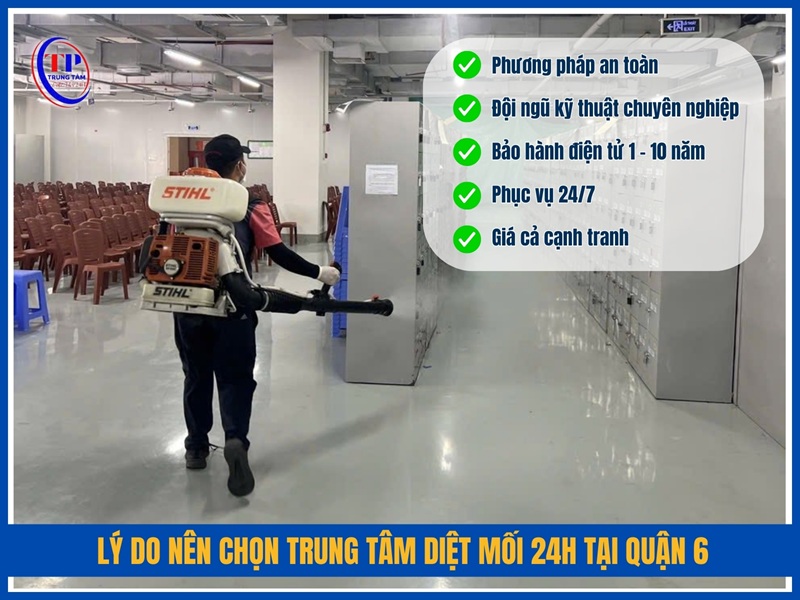 Lý do nên chọn Trung Tâm Diệt Mối 24H tại Quận 6