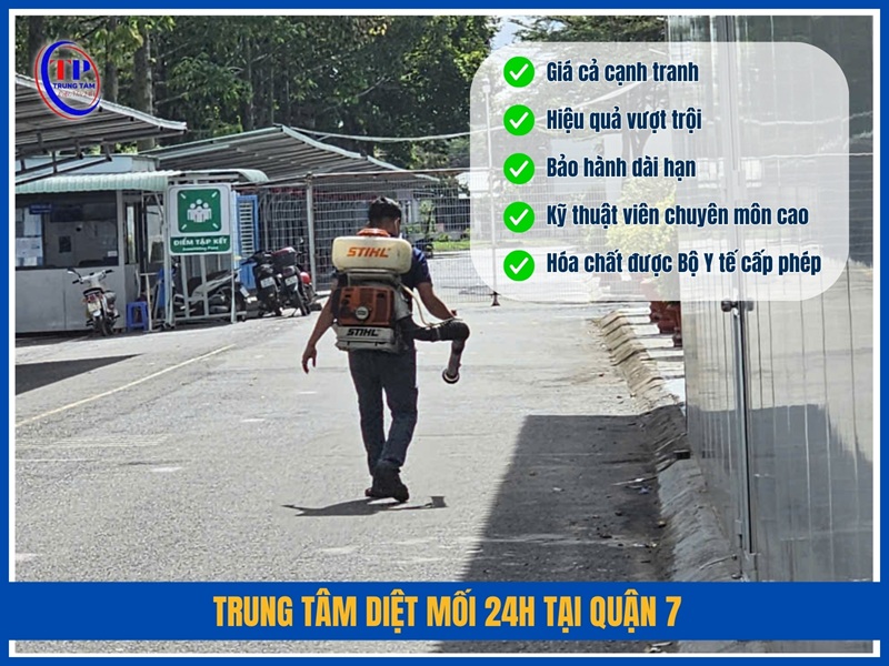 Trung Tâm Diệt Mối 24H tại Quận 7