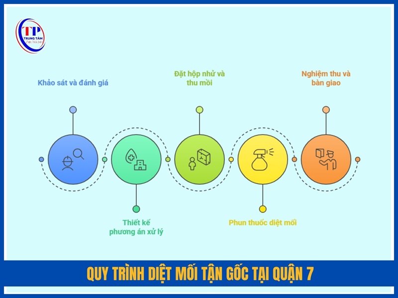 Quy trinh diet moi tan goc tai Quan 7
