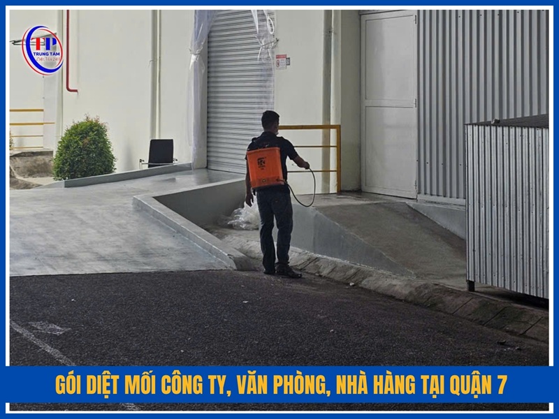 Gói diệt mối công ty, văn phòng, nhà hàng tại Quận 7