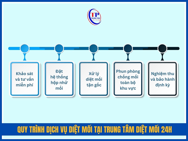 Quy trình dịch vụ diệt mối tại Trung Tâm Diệt Mối 24H