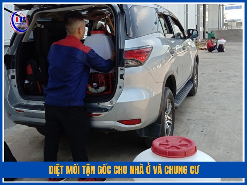 Diệt mối tận gốc cho nhà ở và chung cư
