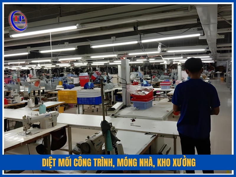 Diệt mối công trình, móng nhà, kho xưởng