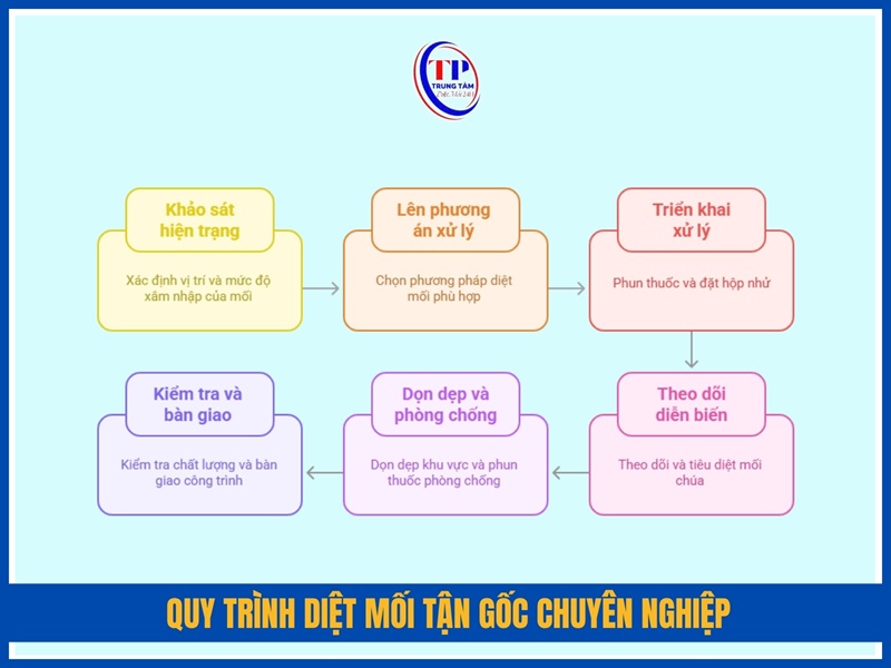 Quy trình diệt mối tận gốc chuyên nghiệp