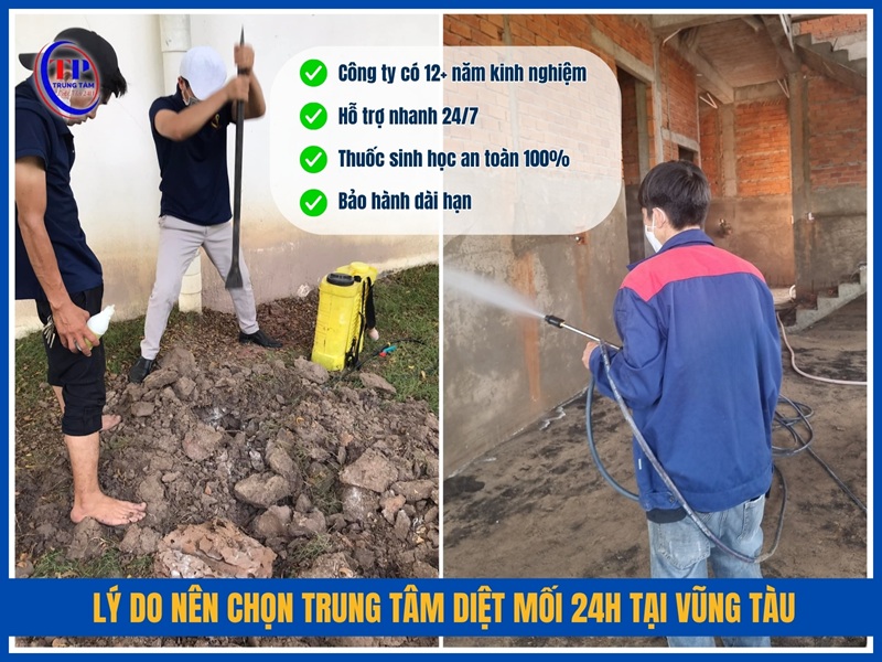 Lý do nên chọn Trung Tâm Diệt Mối 24H tại Vũng Tàu