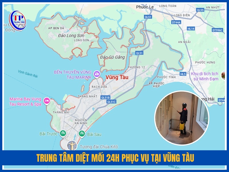 Trung Tâm Diệt Mối 24H phục vụ tại Vũng Tàu