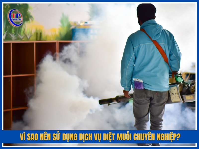 Vì sao nên sử dụng dịch vụ diệt muỗi chuyên nghiệp?