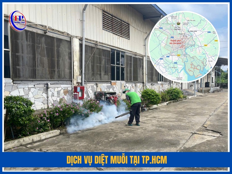 Dịch vụ diệt muỗi tại TP.HCM