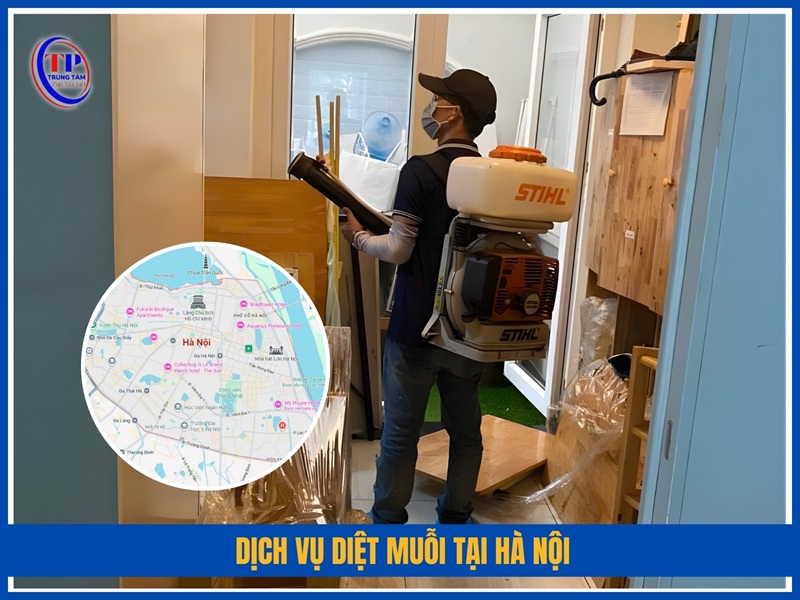 Dịch vụ diệt muỗi tại Hà Nội