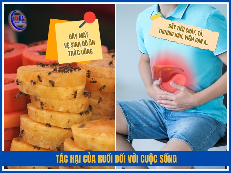 tác hại của rồi đối với đời sống