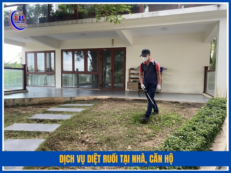 Dịch vụ diệt ruồi tại nhà, căn hộ