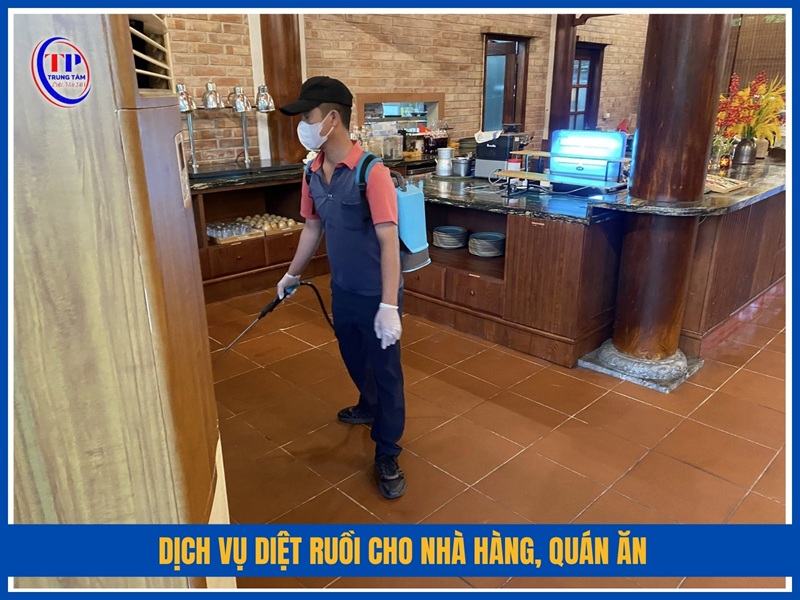 Dịch vụ diệt ruồi cho nhà hàng, quán ăn