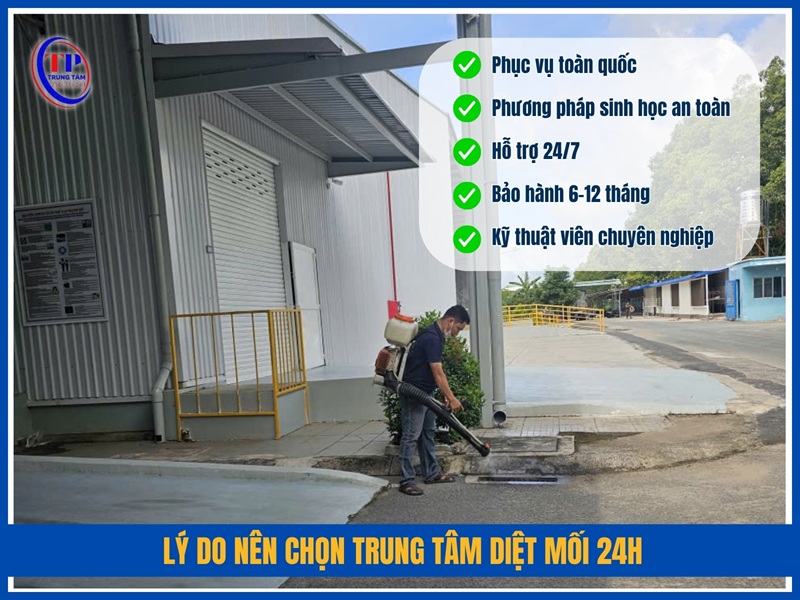 Lý do nên chọn Trung Tâm Diệt Mối 24H