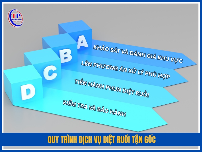 Quy trình dịch vụ diệt ruồi tận gốc tại Trung Tâm Diệt Mối 24H