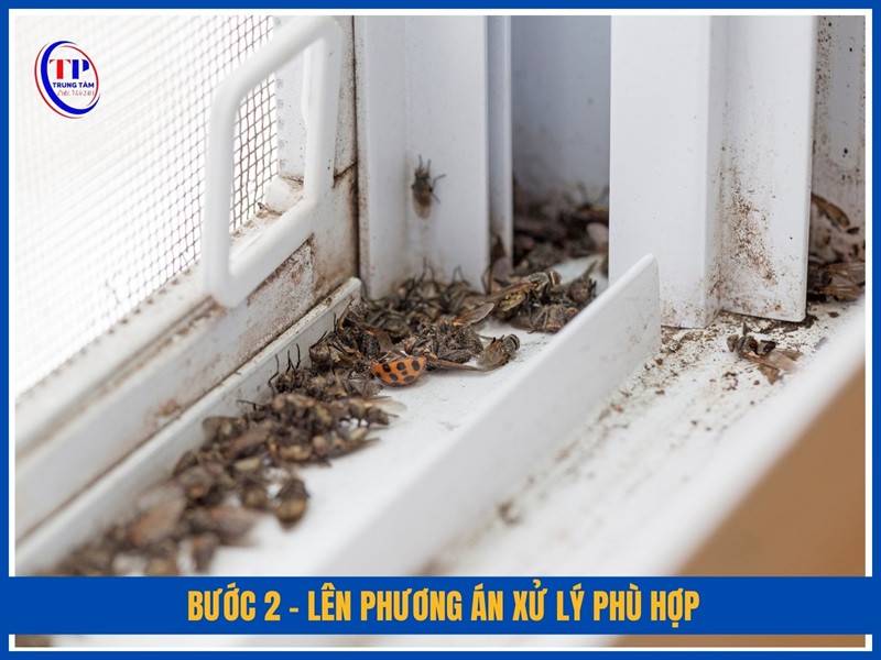 Bước 2 – Lên phương án xử lý phù hợp
