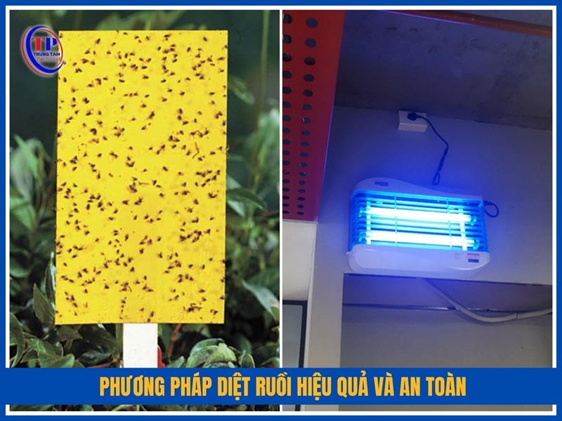 Phương pháp diệt ruồi hiệu quả và an toàn hiện nay