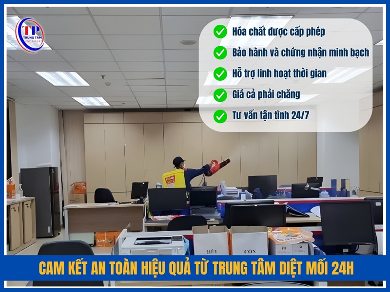 Cam kết an toàn hiệu quả từ Trung Tâm Diệt Mối 24H