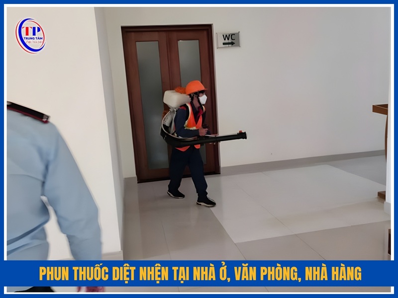 Diệt nhện nhà ở, văn phòng, nhà hàng và khách sạn