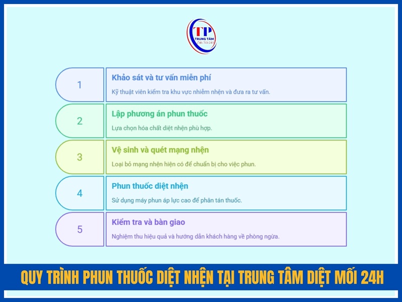 Quy trình phun thuốc diệt nhện tại Trung Tâm Diệt Mối 24H