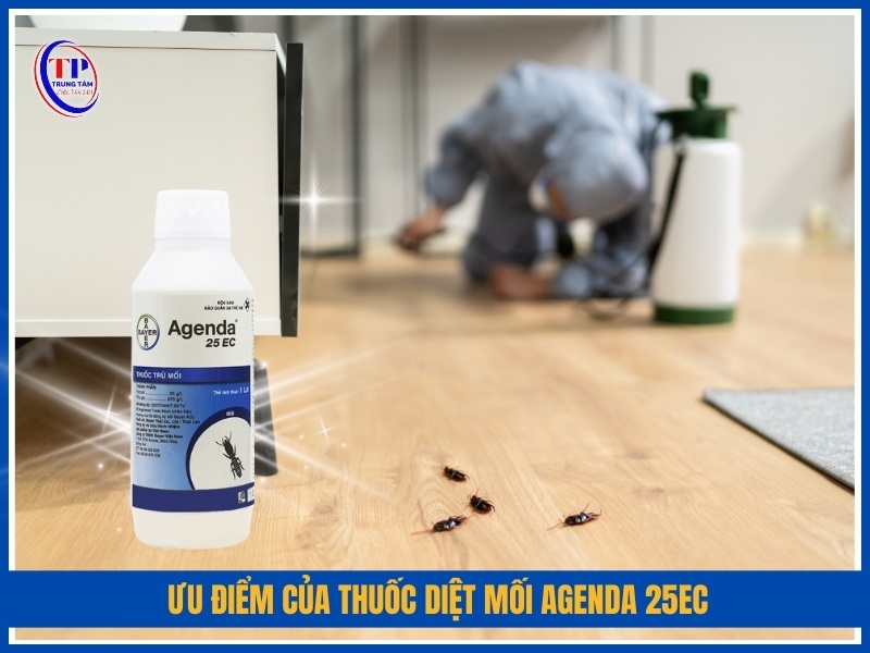 Ưu điểm của thuốc diệt mối Agenda 25EC