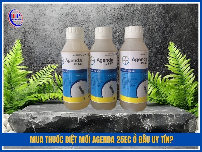 Mua thuốc diệt mối Agenda 25EC ở đâu uy tín?