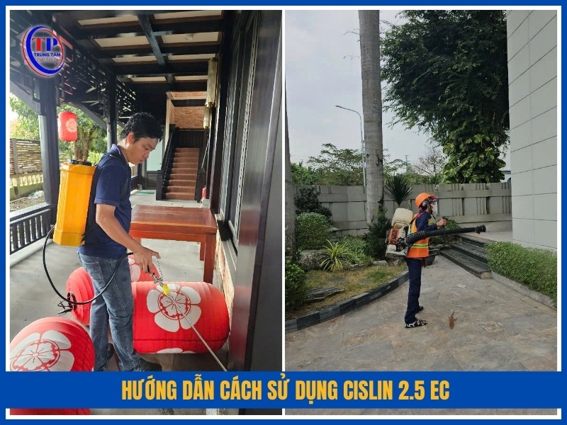 Hướng dẫn cách sử dụng Cislin 2.5 EC