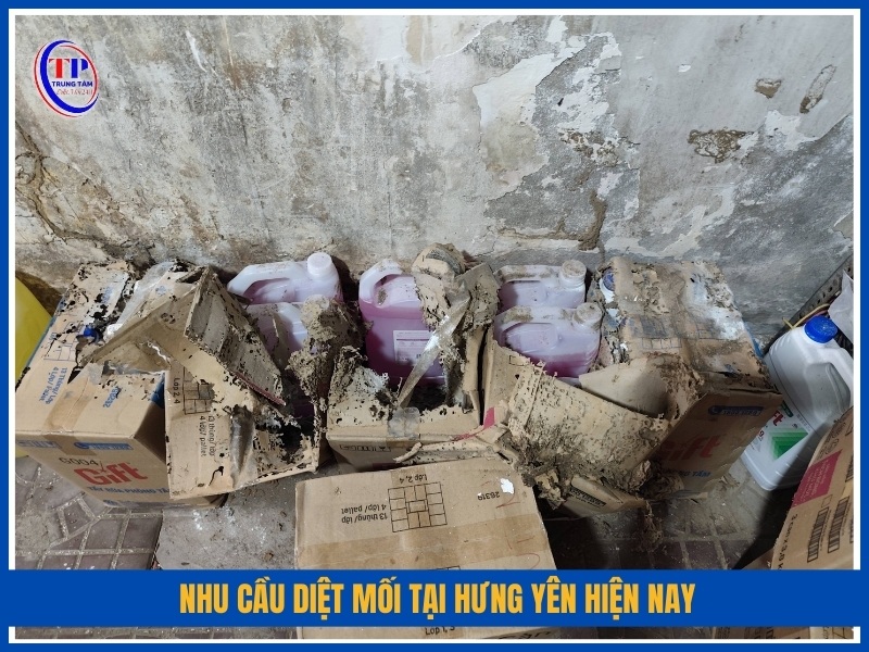 Nhu cầu diệt mối tại Hưng Yên hiện nay