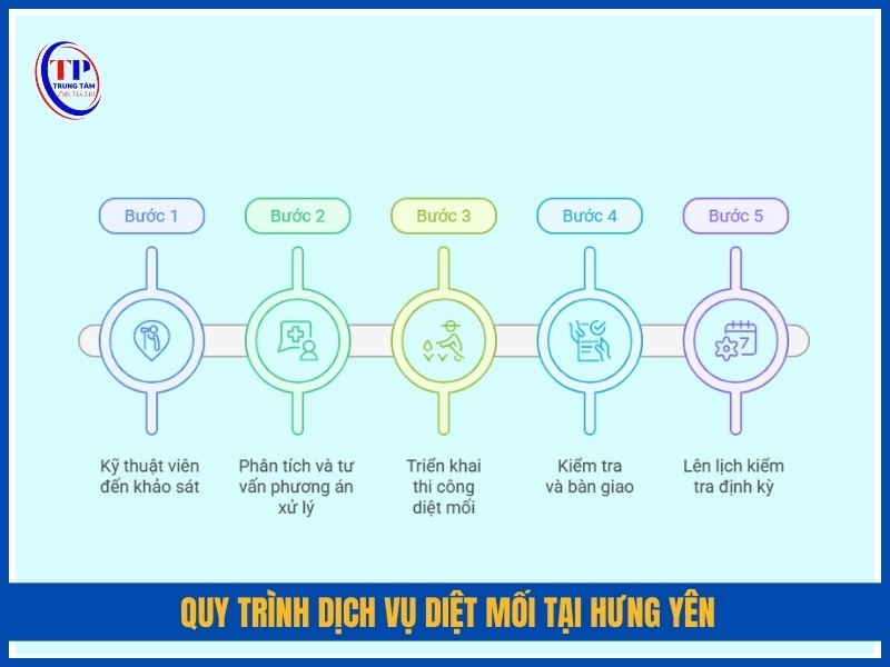 Quy trình dịch vụ diệt mối tại Hưng Yên