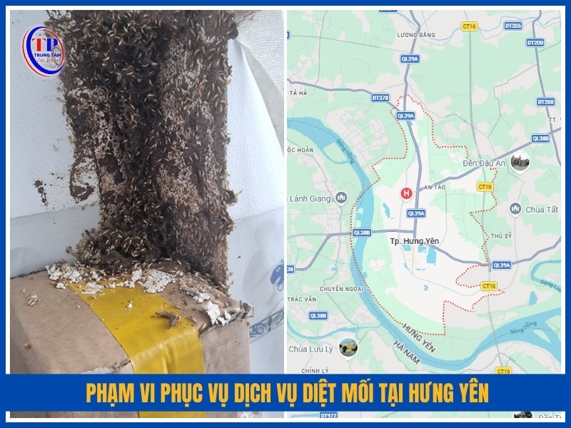Phạm vi phục vụ dịch vụ diệt mối tại Hưng Yên