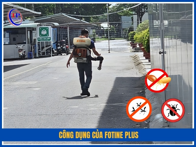 Công dụng của Fotine Plus