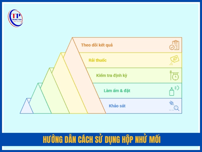 Hướng dẫn cách sử dụng hộp nhử mối