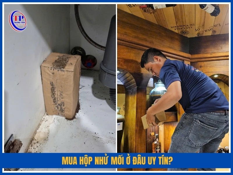Mua hộp nhử mối ở đâu uy tín?