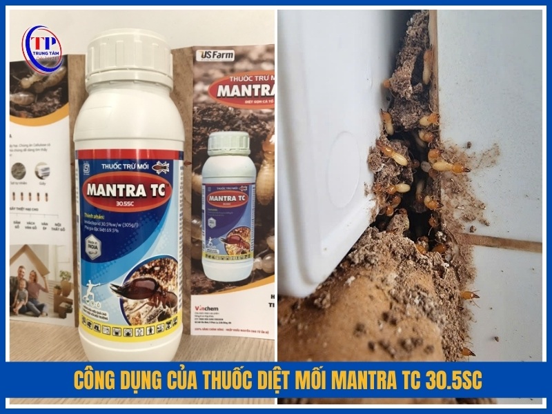 Công dụng của thuốc diệt mối Mantra TC 30.5SC