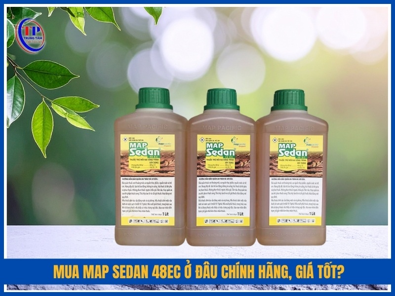 Mua Map Sedan 48EC ở đâu chính hãng, giá tốt?