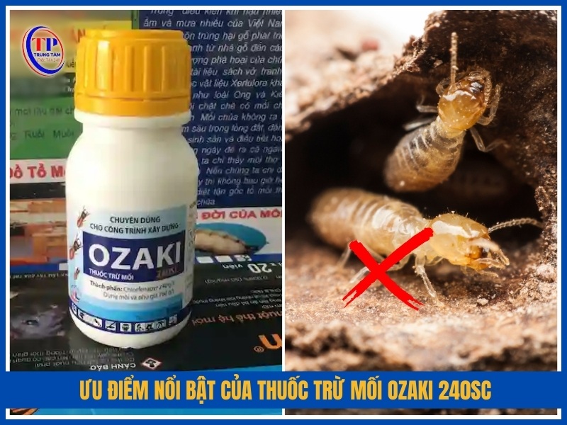 Ưu điểm nổi bật của thuốc trừ mối Ozaki 240SC