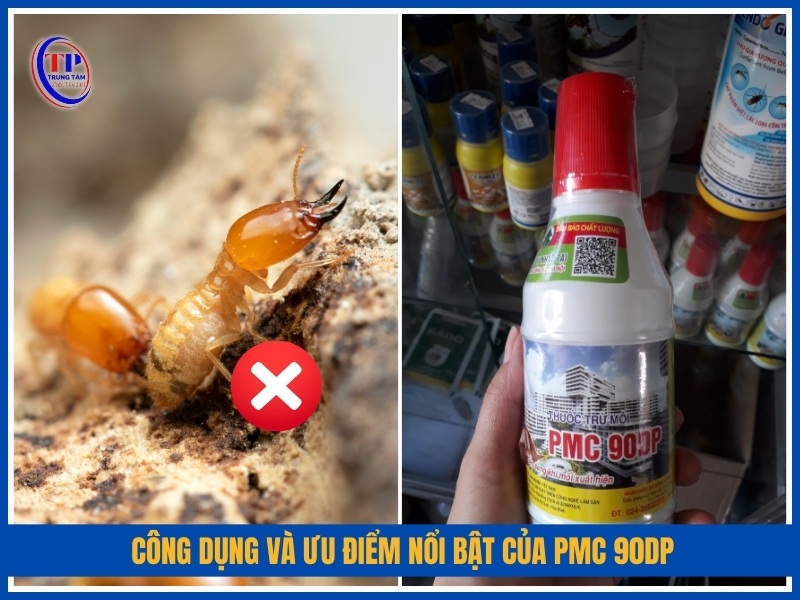 Công dụng và ưu điểm nổi bật của PMC 90DP