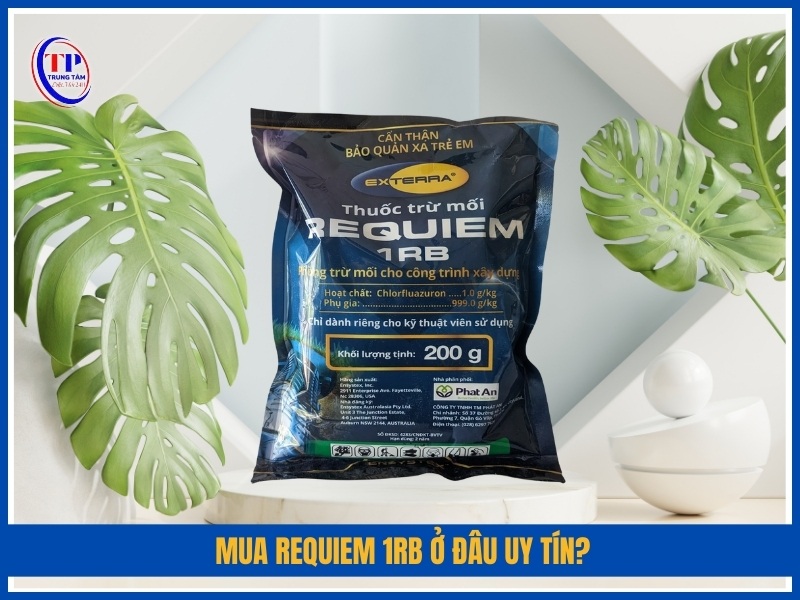 Mua REQUIEM 1RB ở đâu uy tín tại TP.HCM và Hà Nội?