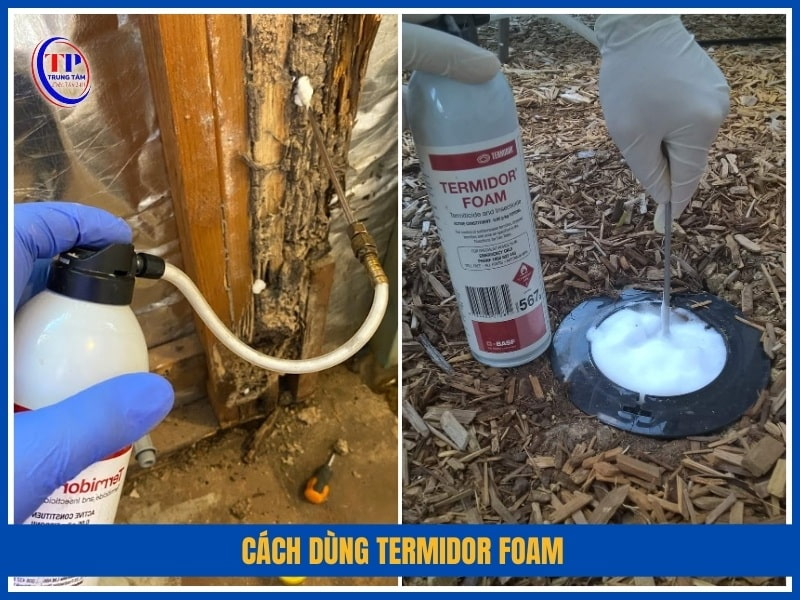 Cách dùng Termidor Foam