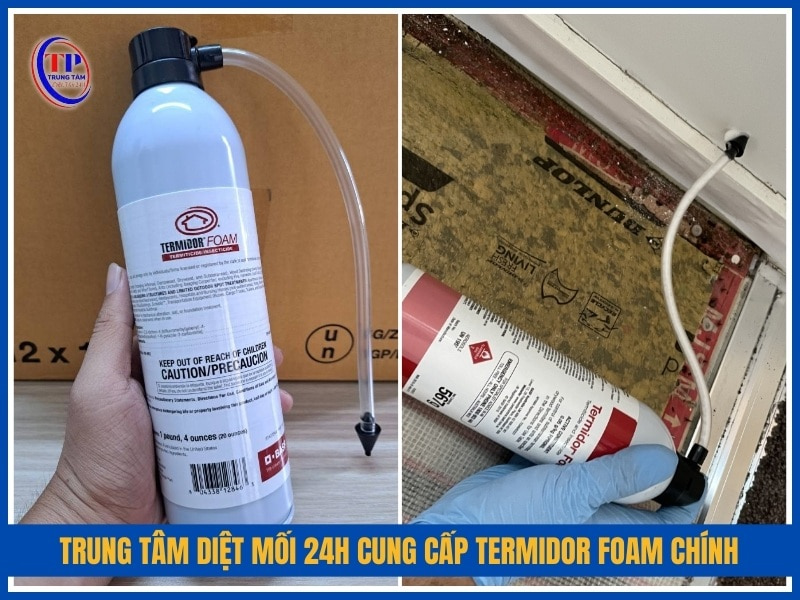 Trung Tâm Diệt Mối 24H cung cấp Termidor Foam