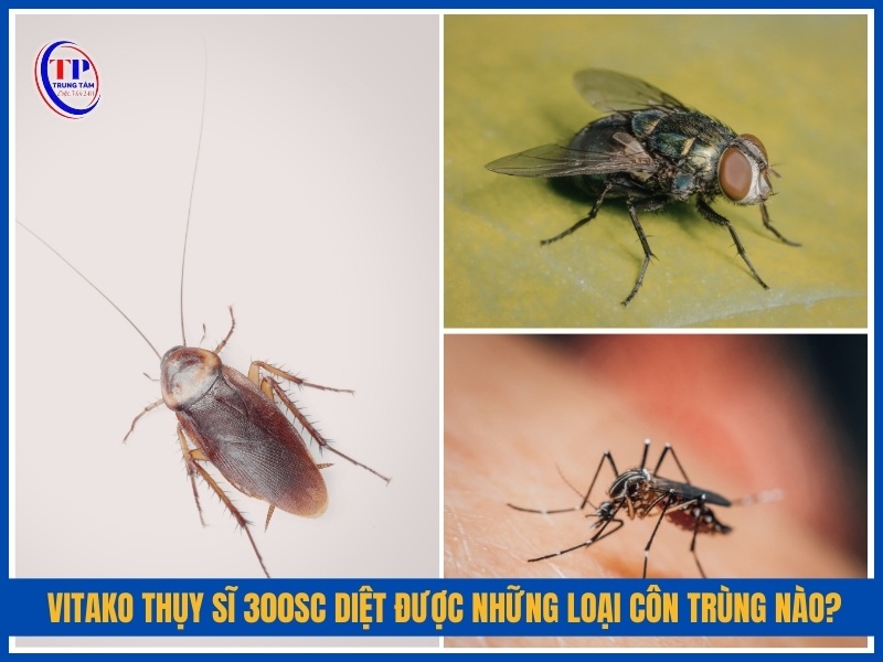 Vitako Thuy Si 300SC diet duoc nhung loai con trung nao