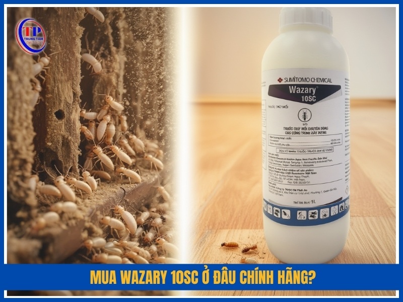 Mua Wazary 10SC ở đâu chính hãng?