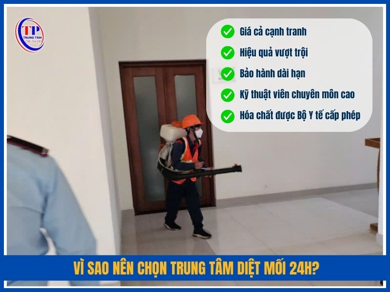 Vì sao nên chọn Trung Tâm Diệt Mối 24H?
