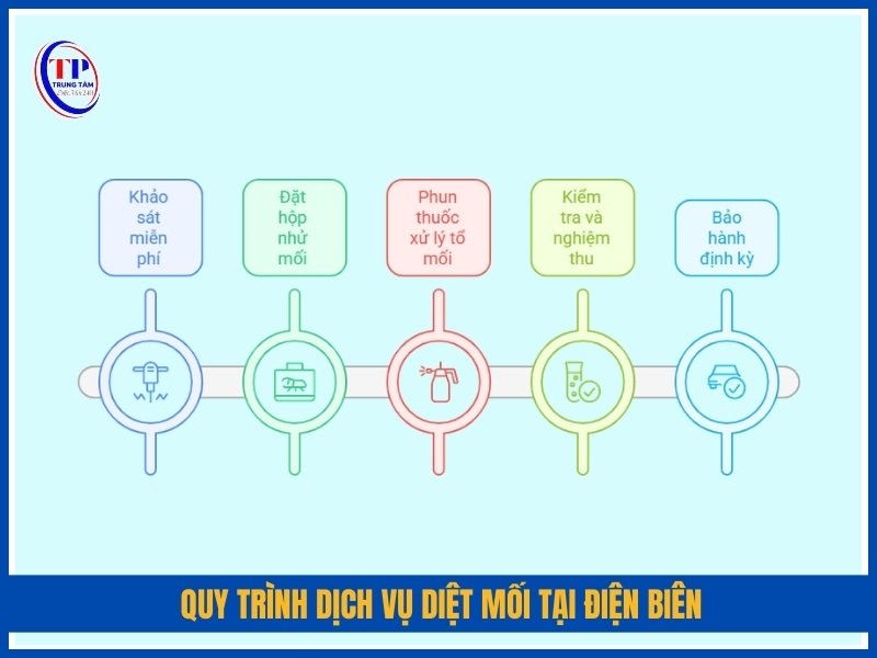 Quy trình dịch vụ diệt mối tại Điện Biên