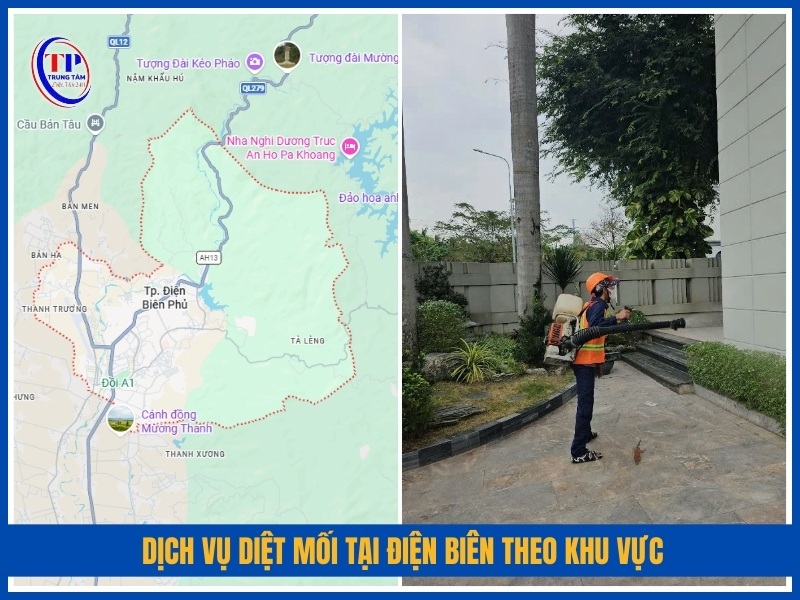 Dịch vụ diệt mối tại Điện Biên theo khu vực