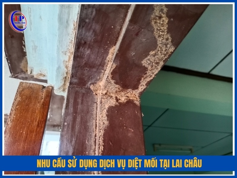 Nhu cầu sử dụng dịch vụ diệt mối tại Lai Châu