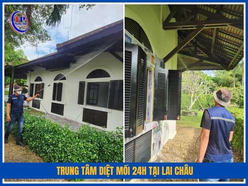Trung Tâm Diệt Mối 24H tại Lai Châu
