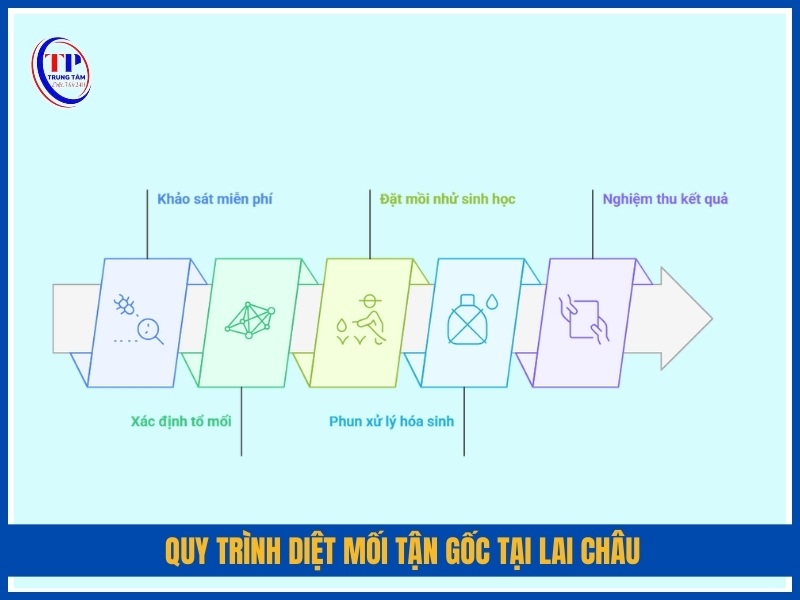 Quy trình diệt mối tận gốc tại Lai Châu