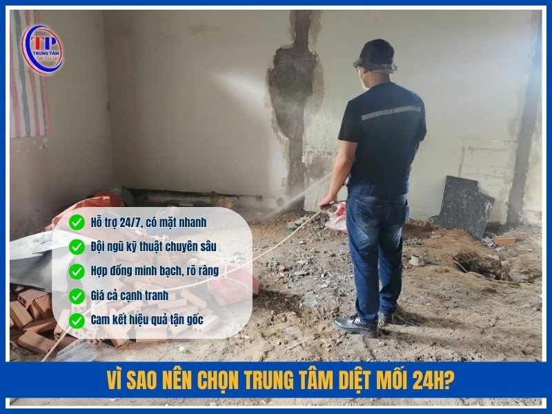 Vì sao nên chọn Trung Tâm Diệt Mối 24H?