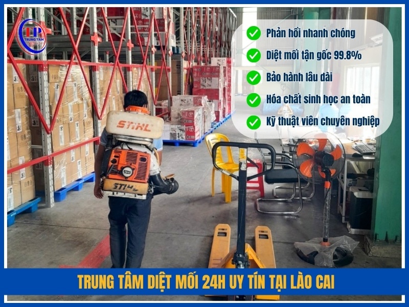 Trung Tâm Diệt Mối 24H uy tín tại Lào Cai