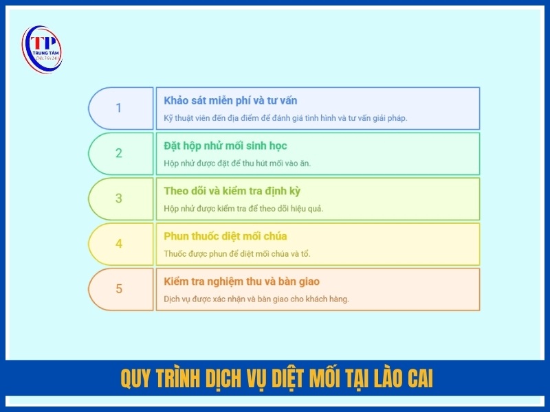 Quy trình dịch vụ diệt mối tại Lào Cai